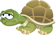 inset turtle